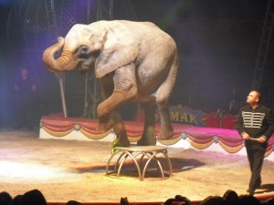 La délicate lourdeur de l'état