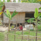 Cambodge