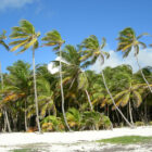 République dominicaine