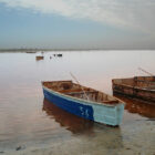 Senegal 04