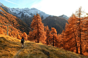 Suisse